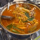 코리아회집 | 속초시 코리아 횟집 | 장사항 횟집 내 돈 내산 후기