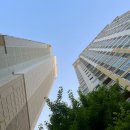 이만호 | 5월의 날들 🌿