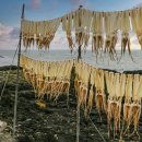 성호식품 이미지