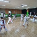 용인대 석사 스타태권도장 이미지