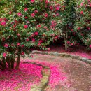 남원읍-111 이미지