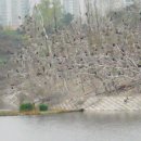 서호농장 이미지