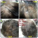 지헤어 - 수성구 달구벌대로496길 19-12 | 지헤어