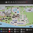 유메모리 | [강릉숙소] 유메모리 리조트 후기