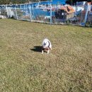 영운스테이오션뷰펜션 이미지