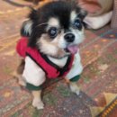 남천할매집 이미지