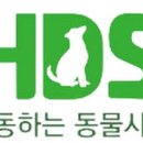 동물사랑 - 동작구 사당로16가길 12-22 | 동물사랑