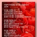 사랑하기에 좋은 당신을 사랑합니다 - 강우혁 이미지