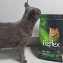 펫클럽 오산점 이미지