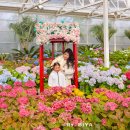 나라꽃 미니정원 | 제주도 서귀포 유채꽃 명소 제주 유채꽃 개화시기