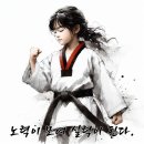 비타민태권도 이미지