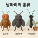 집에서 바퀴벌레 퇴치, 날파리퇴치, 화분영양제, 묵은떼제거...마른들깨나무 모기향...보리차좋은점 이미지