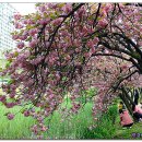 월곡역사공원 이미지