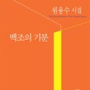 원용수 - 백조의 기분 이미지