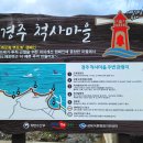 양포항 이미지