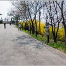 응봉공원3 이미지