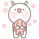 쁘띠베라 이미지