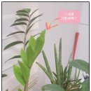 써니컴 네이버블로그
