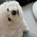 진호농장 | 어쨌든 찬란