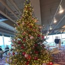 라떼 드라이브 인 호텔 | [아테리토] 영종도 바다뷰 카페 :: 구읍뱃터 브런치 (샥슈카, 오믈렛), 흑임자라떼 후기