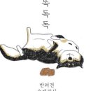 똑독독 네이버블로그