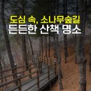엄사근린공원 이미지