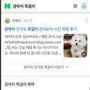 루다펫 | 강아지 인식표 후기 덕분에 네이버 검색 상위노출 (feat. 루다 이웃님 &amp; 스토어 오픈 예정 소식!)