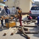 단지농장 이미지