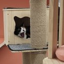 츄냥이 하우스 이미지