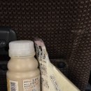 마수와식품 | [2024, 도쿄] 후지산이 보이면 무조건 성공이지( 시모요시다 -가와구치코)