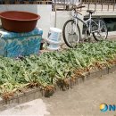 동해-단속-20 이미지