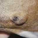 위너스동물병원 이미지