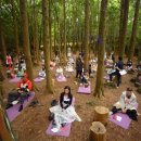 치유의 숲 이미지