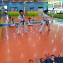 용인대 힘찬 태권도 이미지