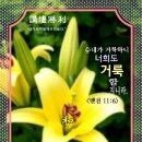 샬롬 - 부천시 원미구 원미동 | 샬롬