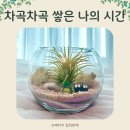 그림책 원예테라피 | 차곡차곡 쌓은 나의 시간, 테라리움 만들기 그림책 원예테라피 수업 이야기, 서울시 평생교육기관