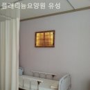지족로(유성-100) 네이버블로그