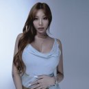 제시 이미지