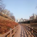 동광로3길 78-10 이미지