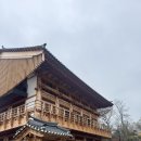 시즌PC카페 | 청주 한옥 북카페 추천 | 카페 후마니타스 평일 벚꽃뷰 힐링 후기