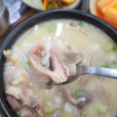 영자네돼지국밥 | 서산 순대국밥 맛집[영자네 순대국밥]내돈내산 후기