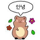 비치노(VICINO67)