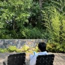 강원도 2박 3일여행 #3 강릉편 - 썸머키친 ㅣ 욜스테이소품샵 ㅣ 솔올미술관 ㅣ 테라로사 경포호수점