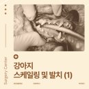 불광동물병원 이미지