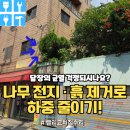 나무와흙 | 나무전지흙퍼내기 위험요소사전제거