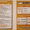 뛰댕이 애견 실내 놀이터 네이버블로그