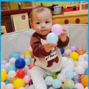 아빠수제만두야 이미지