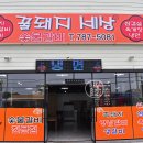 꿀돼지세상