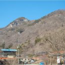 비자숲민박 이미지