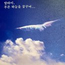 공연기획 푸른하늘 이미지